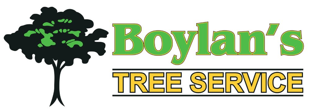 Boylan's logo icon for brand representation.