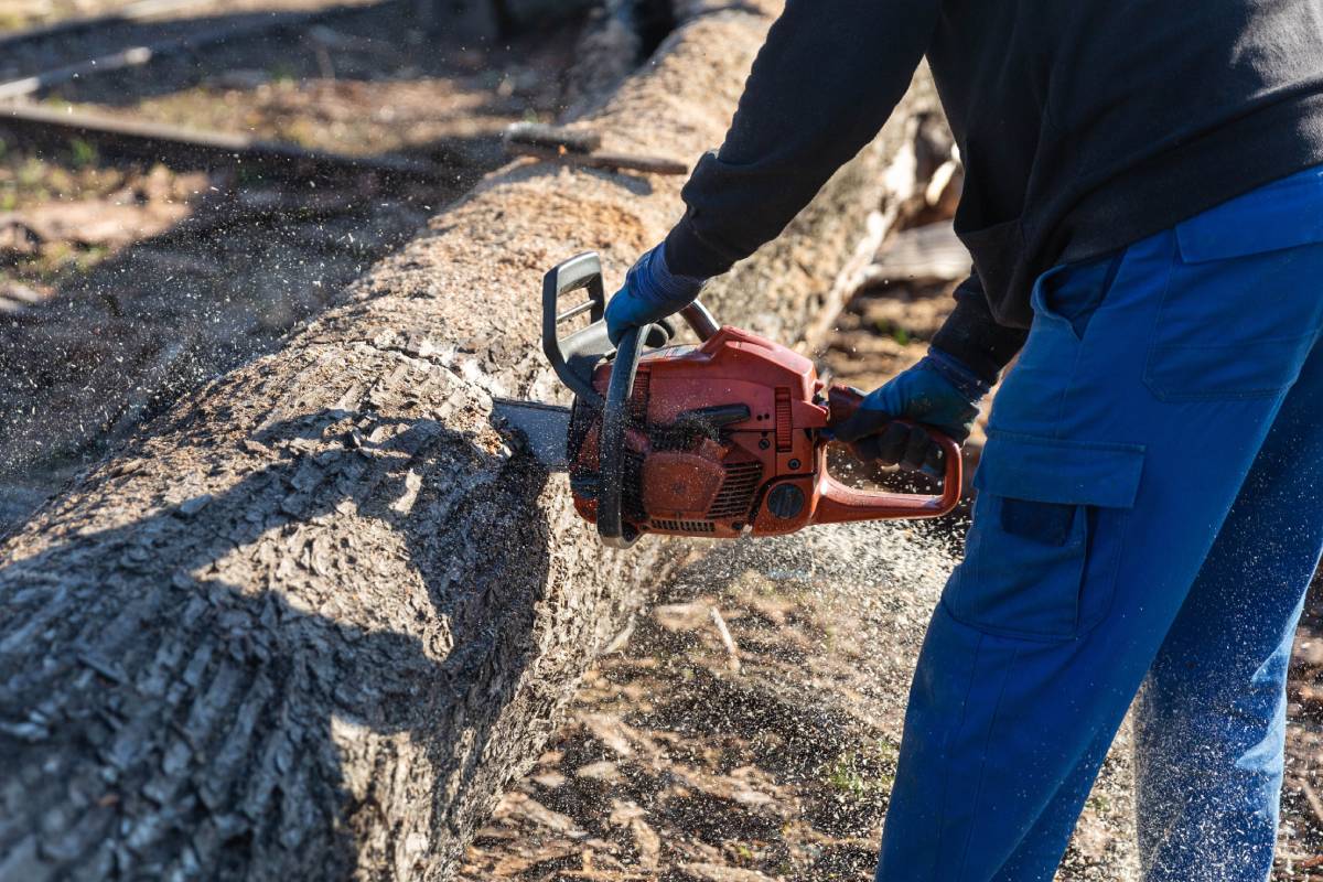Worker using a chainsaw or power tool on a thick branch.