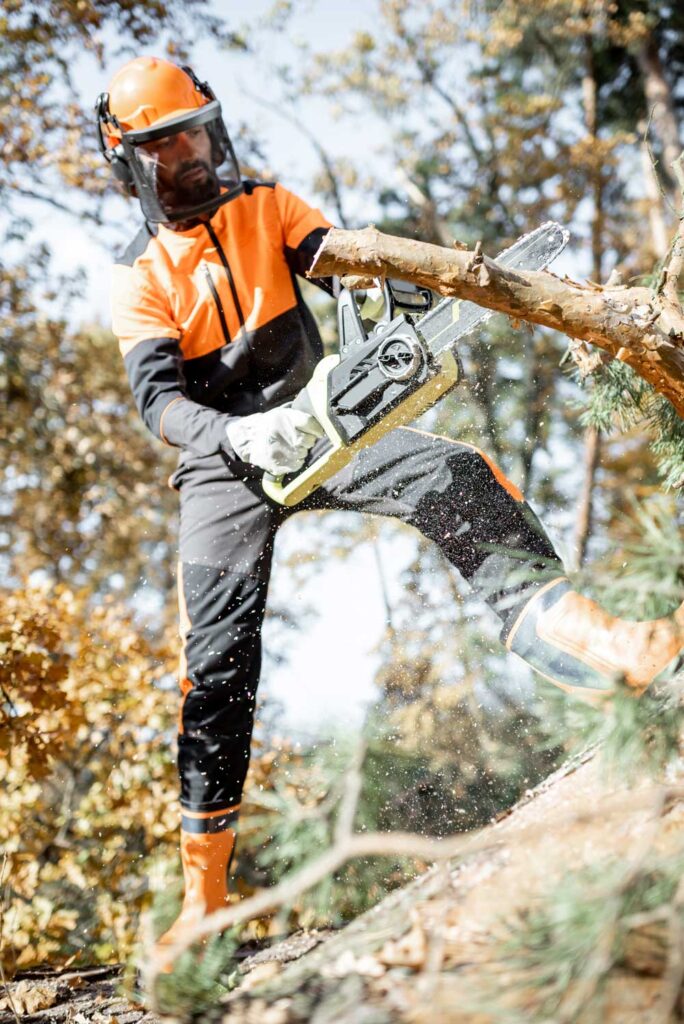 Close-up of an arborist making a clean cut on a large branch.