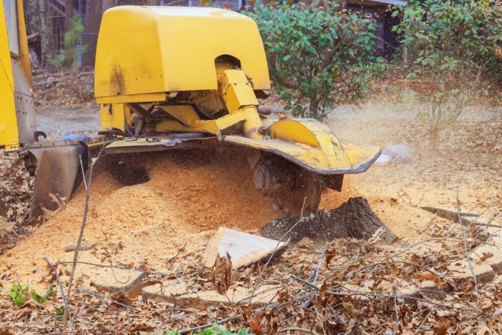 Yellow stump grinding machine removing a stump.