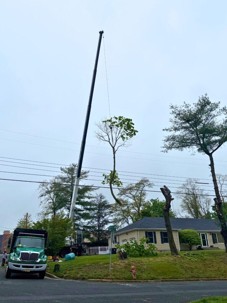 Residential area with workers and equipment on a property lot.